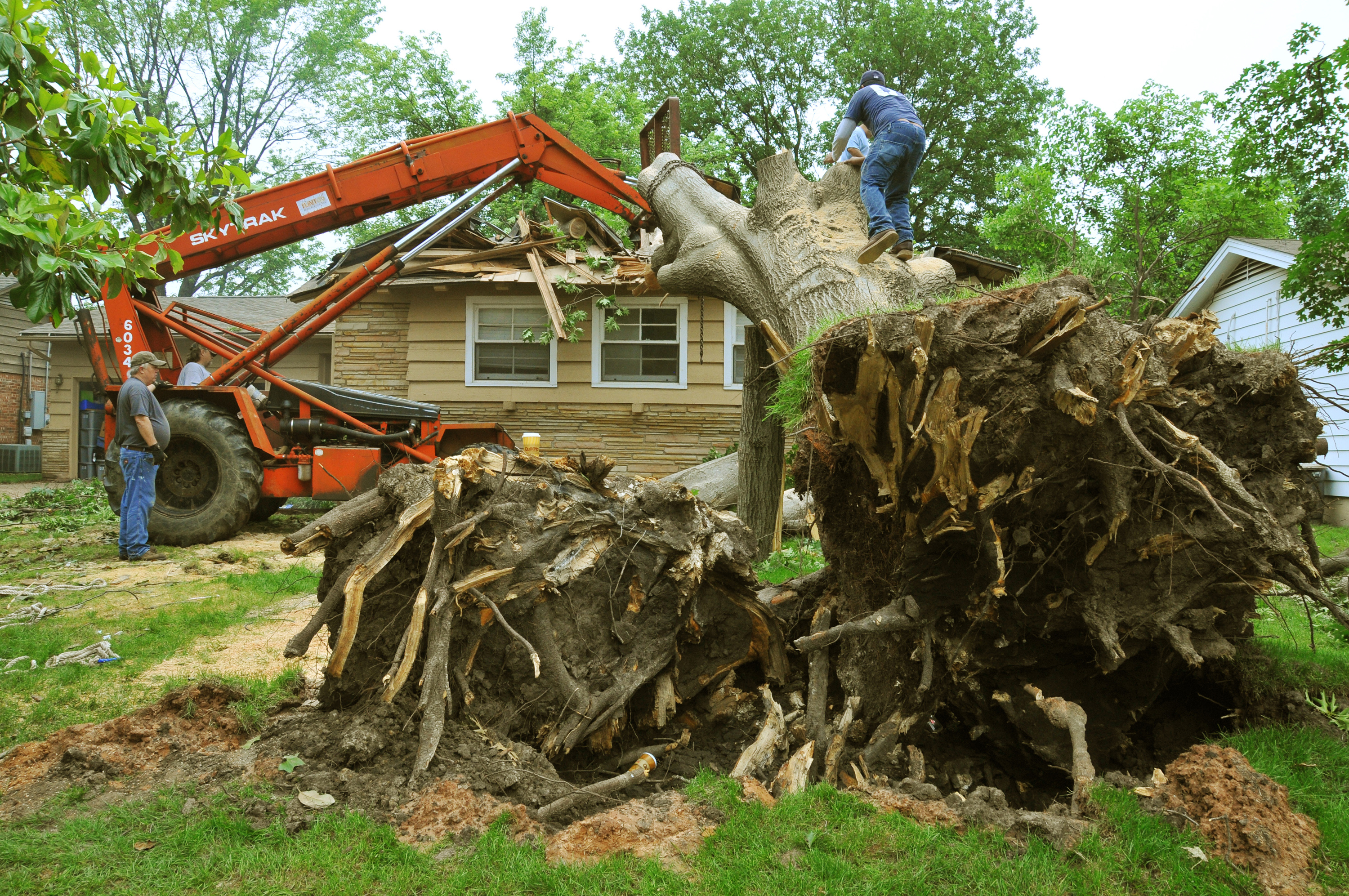 Tree removal after storm
